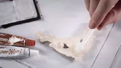 This is the default alt text