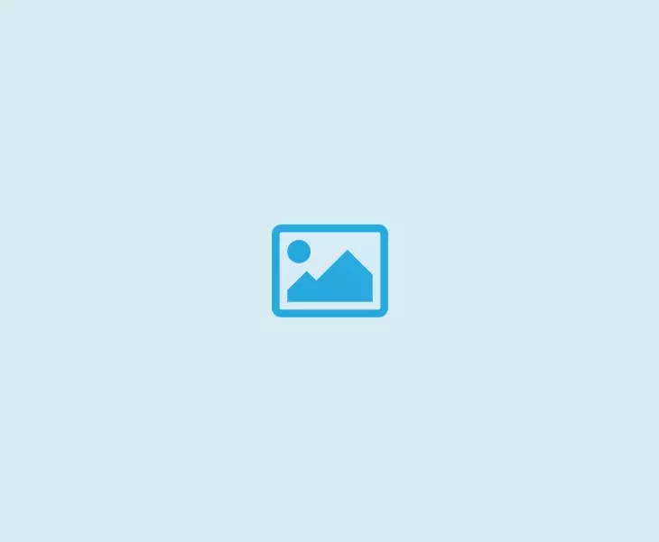 This is the default alt text